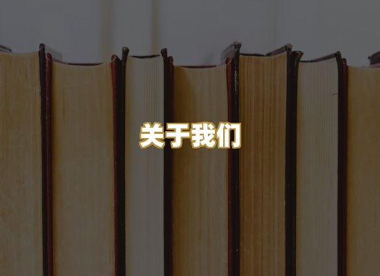 关于我们